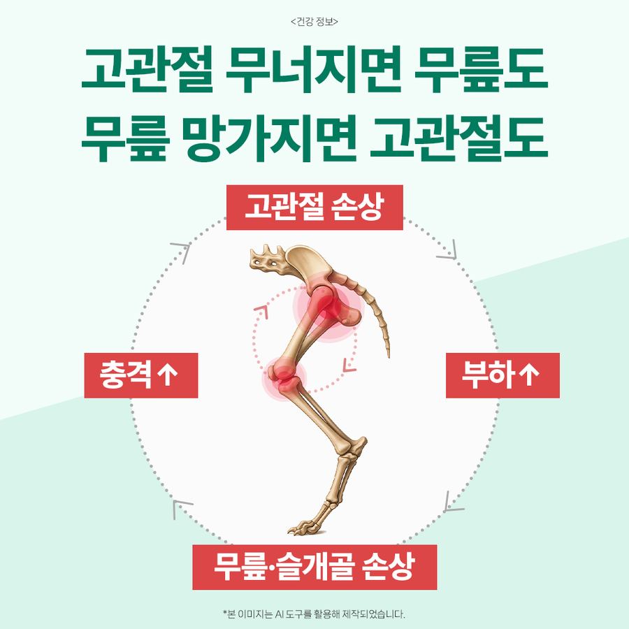 닥터바이 강아지 관절 영양제 슬개골 탈구 무릎 고관절 케어 절뚝거림 힙앤조인트스위프트, 120캡슐, 1개