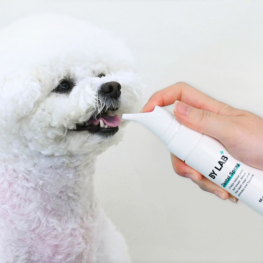 바이랩 덴탈 스프레이 강아지 구강 입냄새 치석 제거 뿌리는 치약 치아관리 60ml, 1개